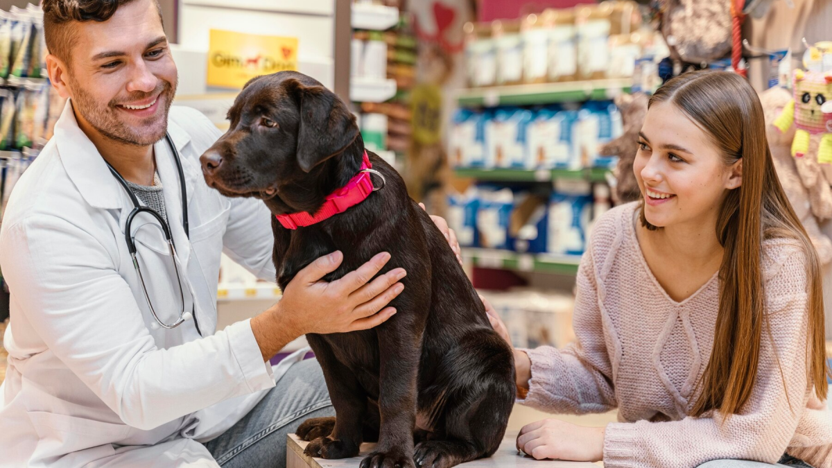 How to Sell Your Veterinary Practice?